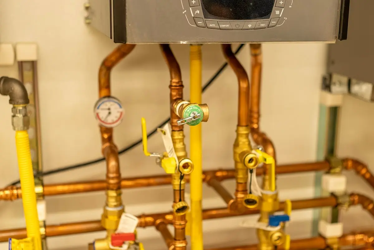 Licensed technician providing Sewer Cleanout for a homeowner in Frankenlust